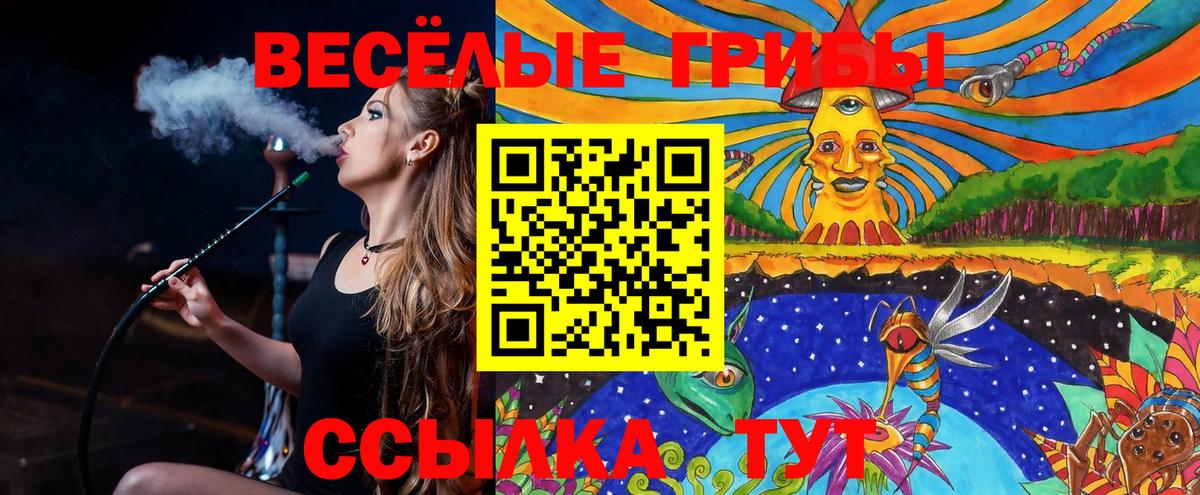 Галлюциногенные грибы Magic Shrooms Кемерово