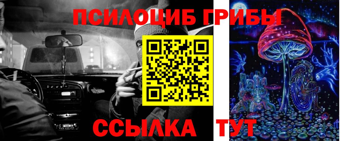 Псилоцибиновые грибы Cubensis  Псилоцибиновые грибы ЛСД  Кемерово  Вход с VPN 